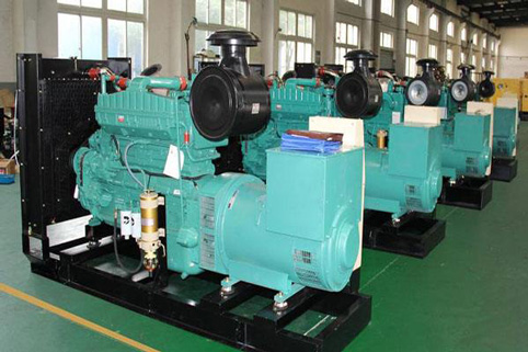 九合垸原种场小型柴油发电机 九合垸原种场小型柴油发电机